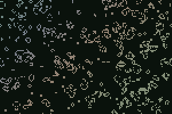 2D Cellular Automata