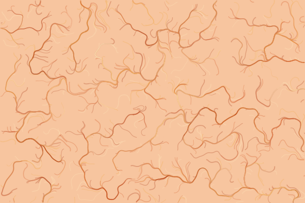 Flow Fields
