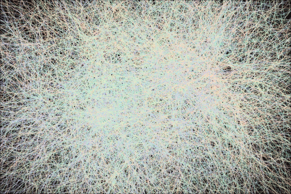 Hyphae