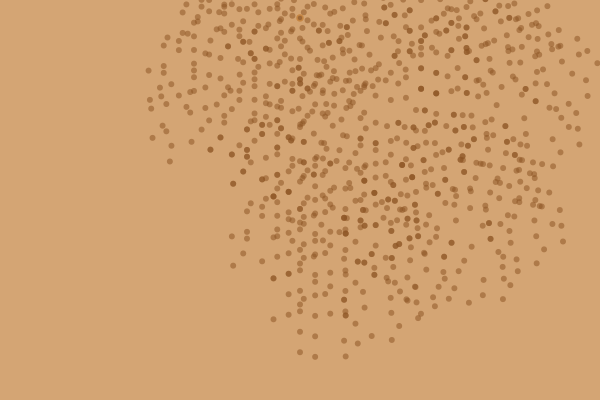 l-systems
