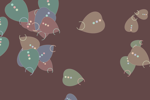 Paisley