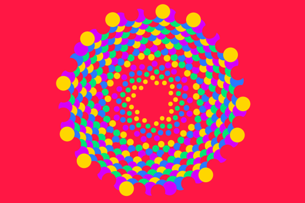 phyllotaxis