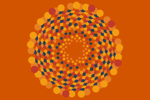 phyllotaxis