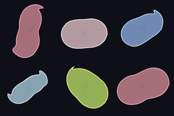 Soft Body