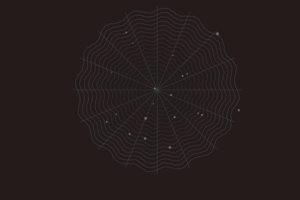 Spider Web